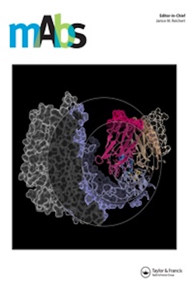 Design of Orthogonal Constant Domain Interfaces to Aid Proper Heavy/Light Chain Pairing of Bispecific Antibodies