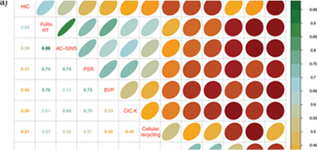 Assessment and incorporation of in vitro correlates to pharmacokinetic outcomes in antibody developability workflows
