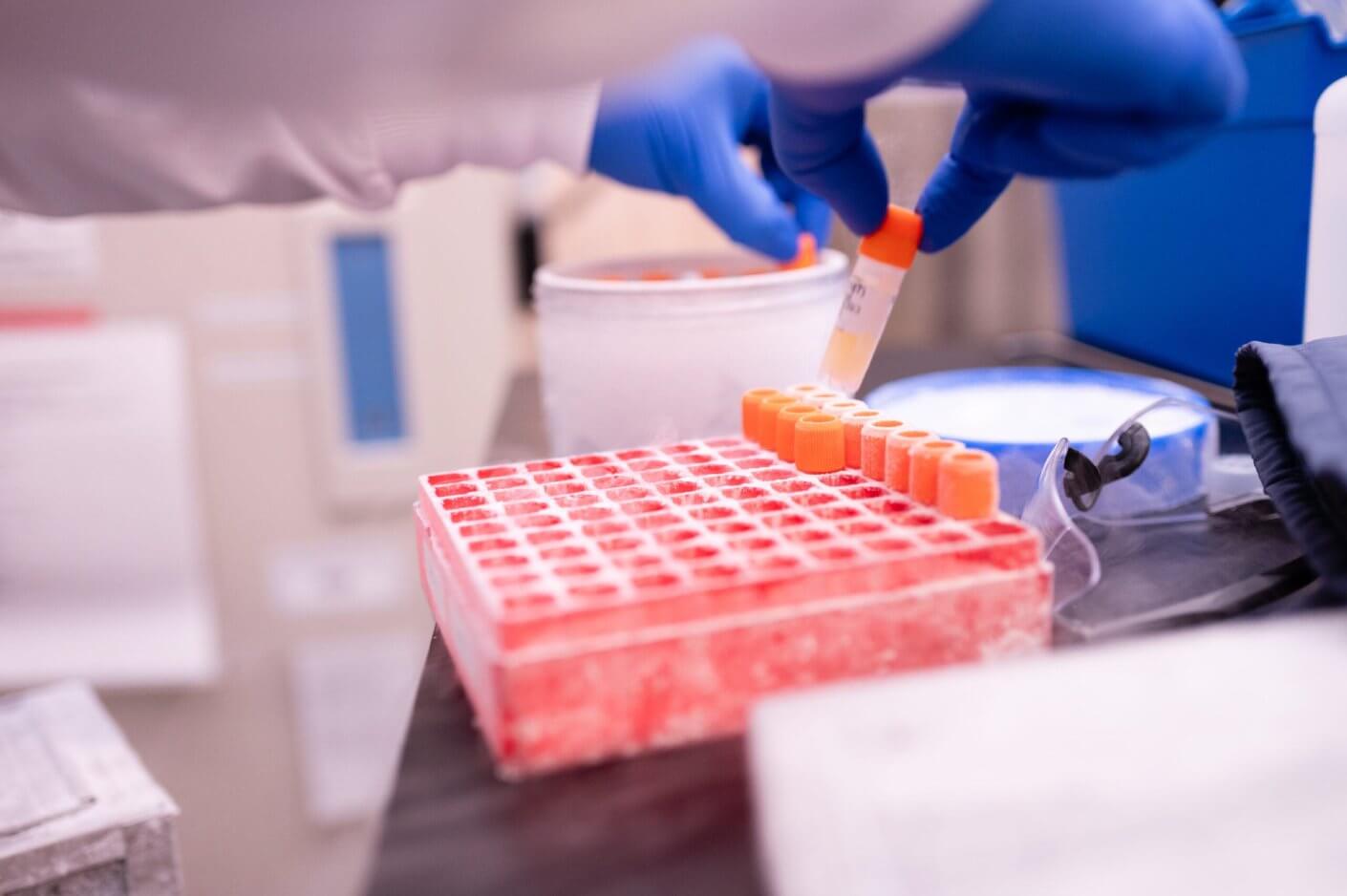 Close-up of gloved scientist handling frozen sample tubes.