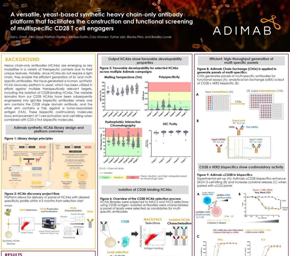 A Versatile, Yeast-Based Synthetic Heavy Chain-Only Antibody Platform that Facilitates the Construction and Functional Screening of Multispecific CD28 T Cell Engagers