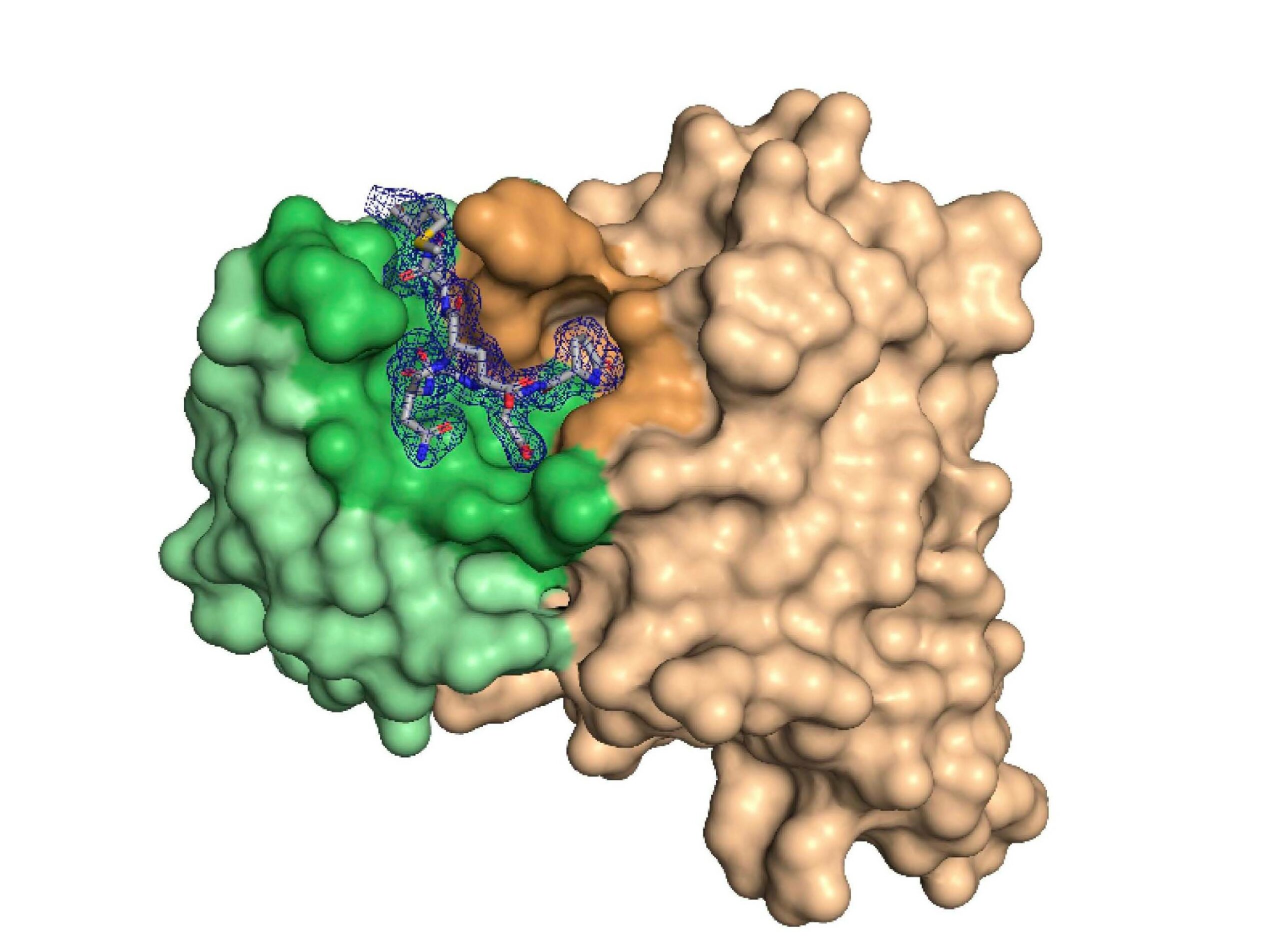 Non-exclusive Programs