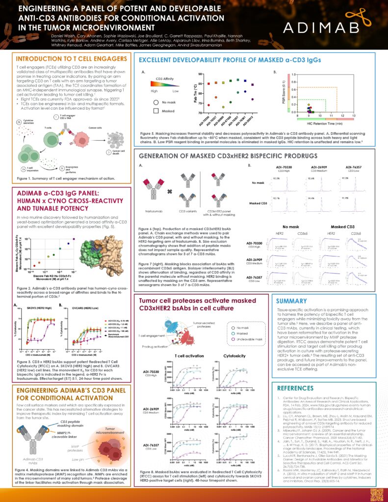 Engineering a Panel of Potent and Developable Anti-CD3 Antibodies for Conditional Activation in the Tumor Microenvironment