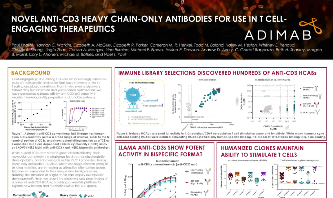 Novel Anti-CD3 Heavy Chain-Only Antibodies for Use in T Cell-Engaging Therapeutics