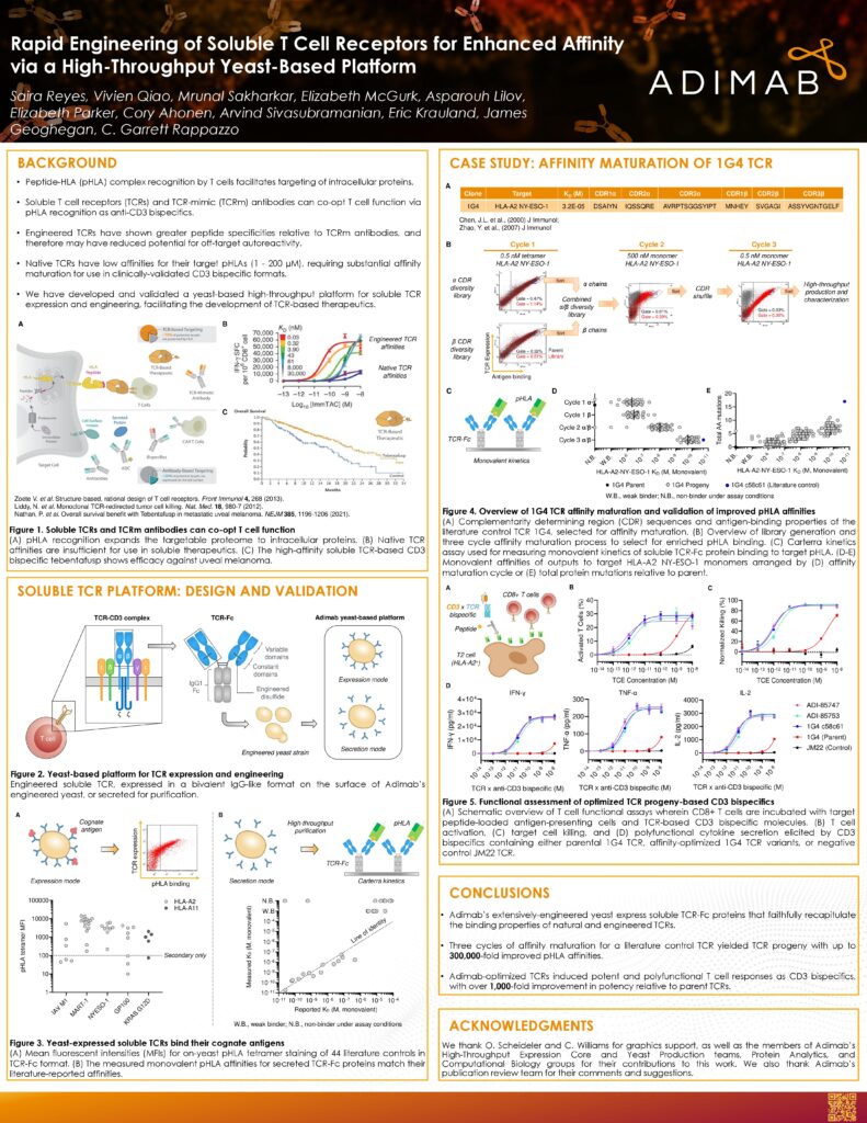 Rapid Engineering of Soluble T Cell Receptors for Enhanced Affinity via a High-Throughput Yeast-Based Platform