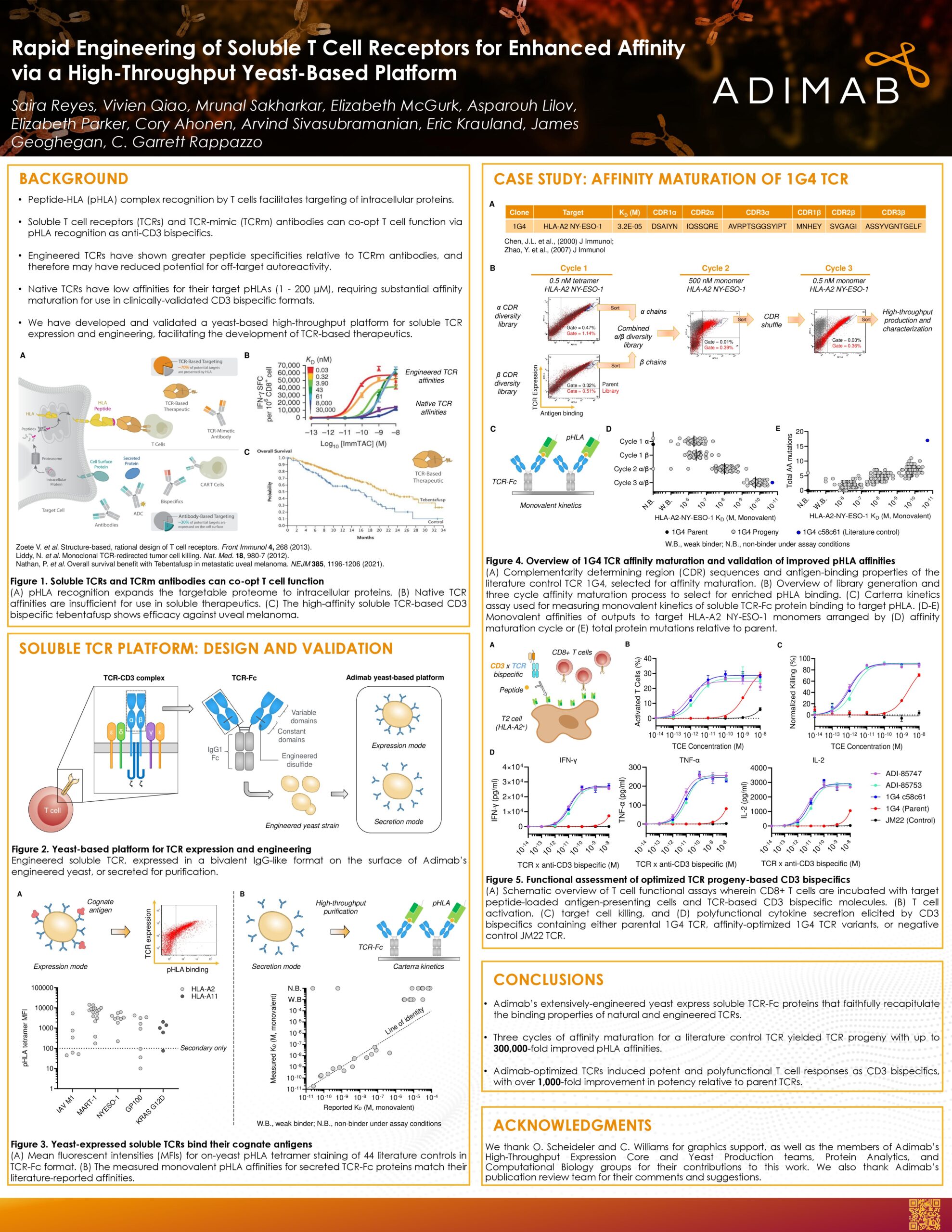Rapid Engineering of Soluble T Cell Receptors for Enhanced Affinity via a High-Throughput Yeast-Based Platform