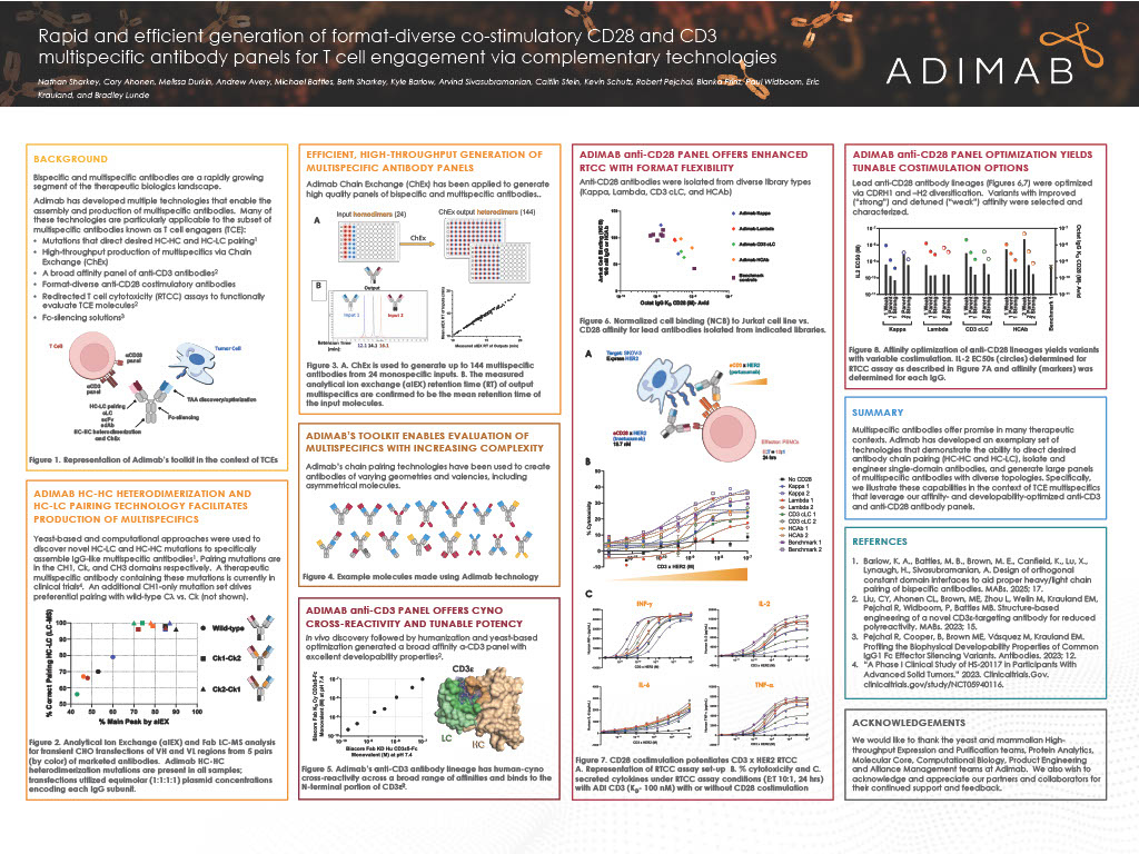 Rapid and efficient generation of format-diverse co-stimulatory CD28 and CD3 multispecific antibody panels for T cell engagement via complementary technologies